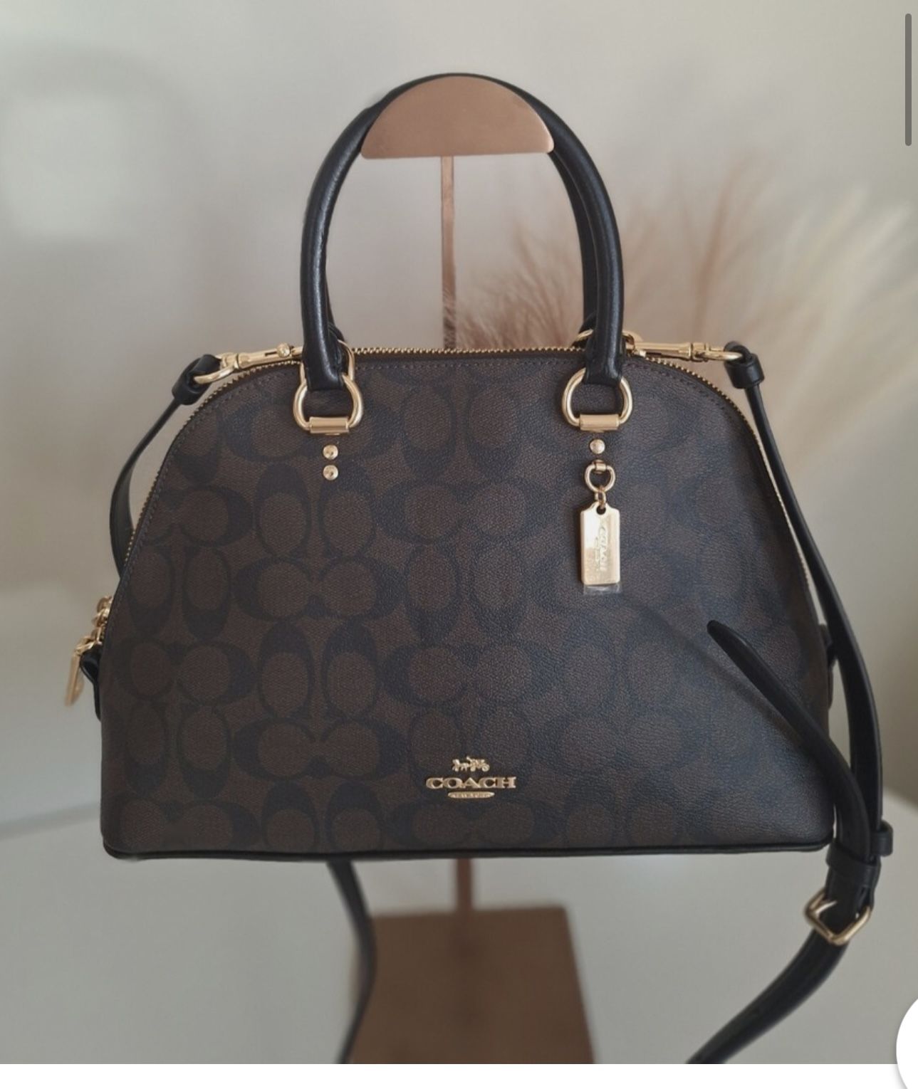 Coach Bag/purse