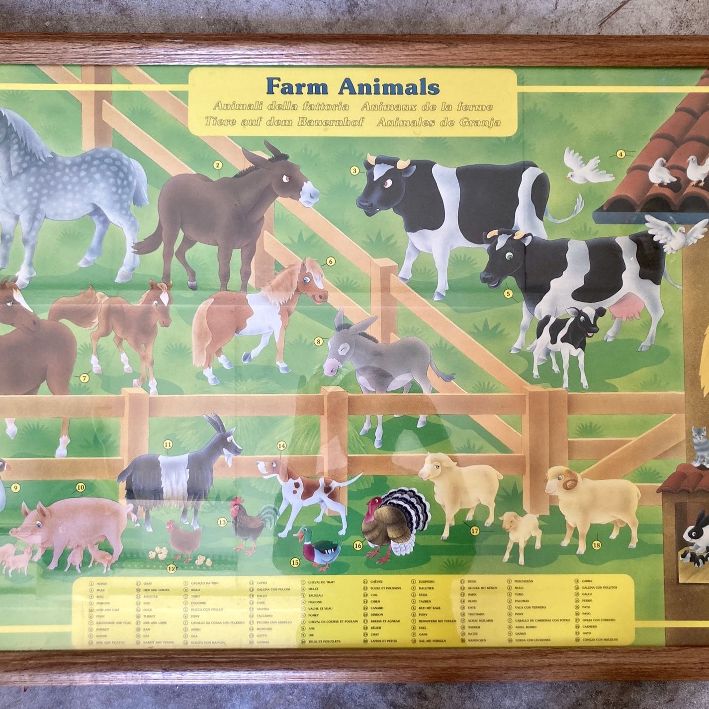 Preschool Picture Farm Animals Poster Framed In 3 Languages