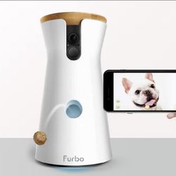 Camera Dog 