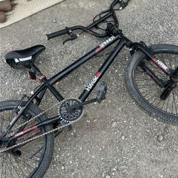 Bicycle Spinner 20”