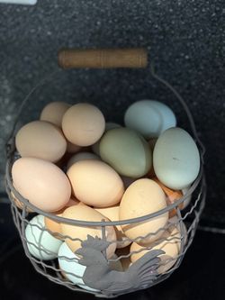 Eggs