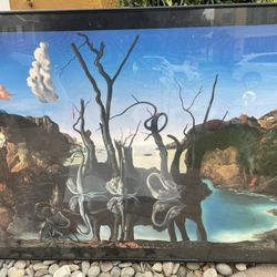 Salvador Dali pictures