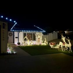 Christmas Decorations 