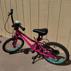 Guardian 14in Bike