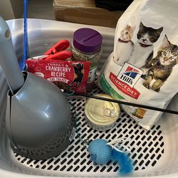 Ultimate Kitten Starter Kit - Practically New!