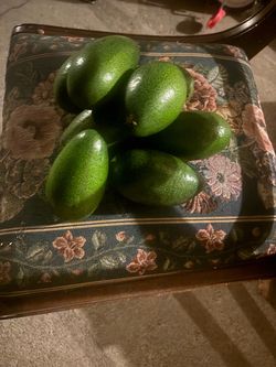 Fresh Avocados