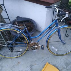 Schwinn Bike