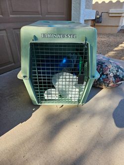 Dog crate/carrier -- medium