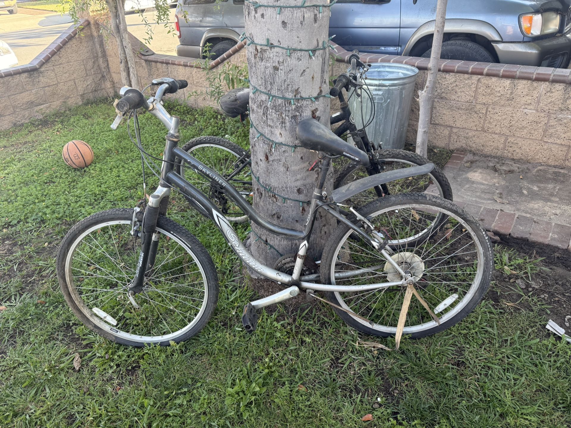 Schwinn Skylines Bike 