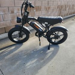 Tamobyke Electric Bicycle 