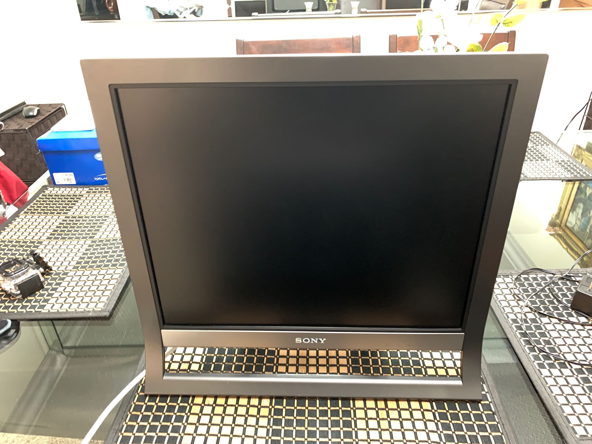 Sony Flat Screen Computer Monitor