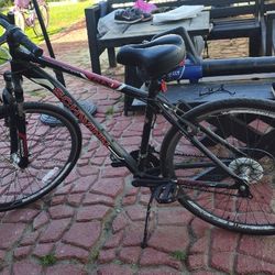 Schwinn Bike 