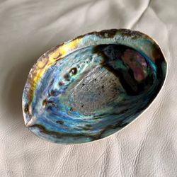 Iridescent Abalone Shell Decorative Bowl - Blue Green Purple