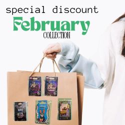 DINESY PIN COLLECTION SALE