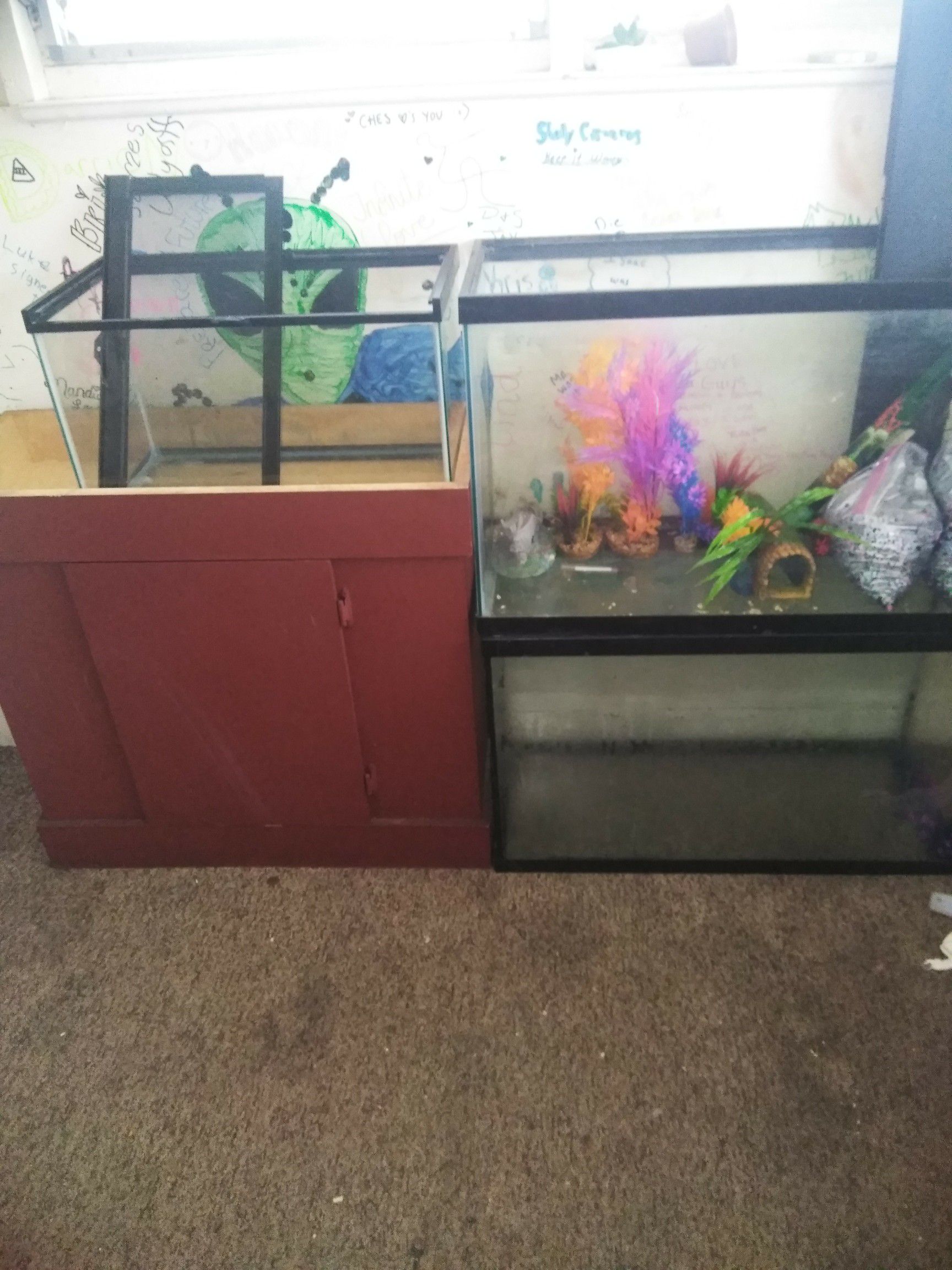 Multiple fish tanks and accessory's.