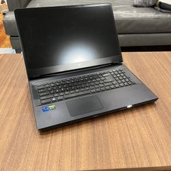 Gaming Laptop (rtx 3060)