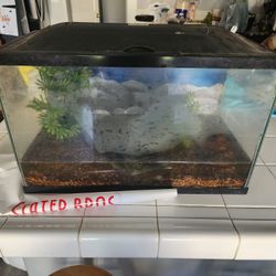 10 Gallon Fish Tank With Rocks