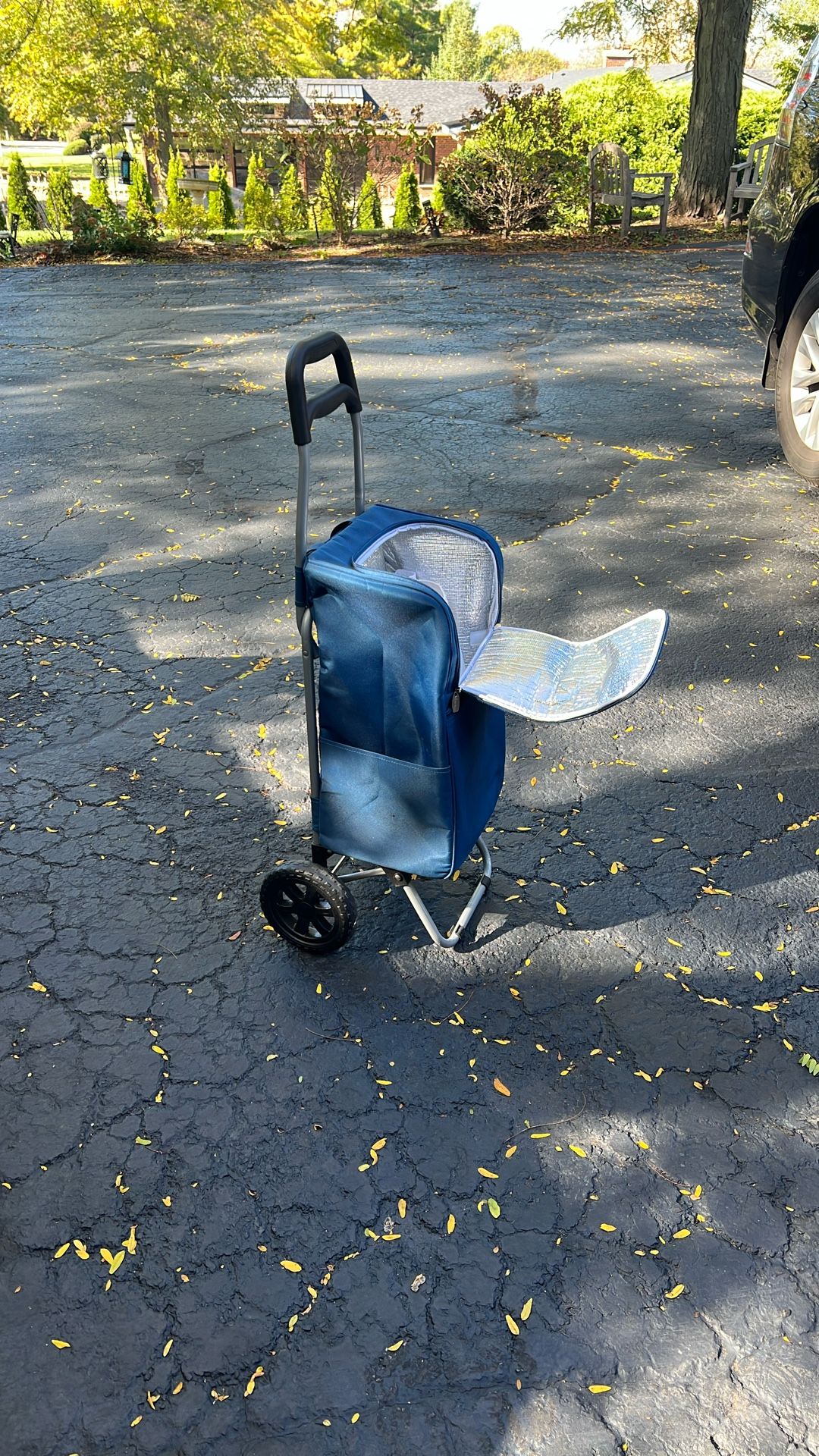 Trolley Dolly for groceries, kid’s games, etc.