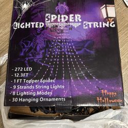 Spider Lighted🎃