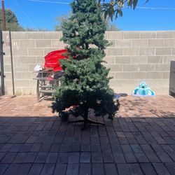 6 Foot Tree