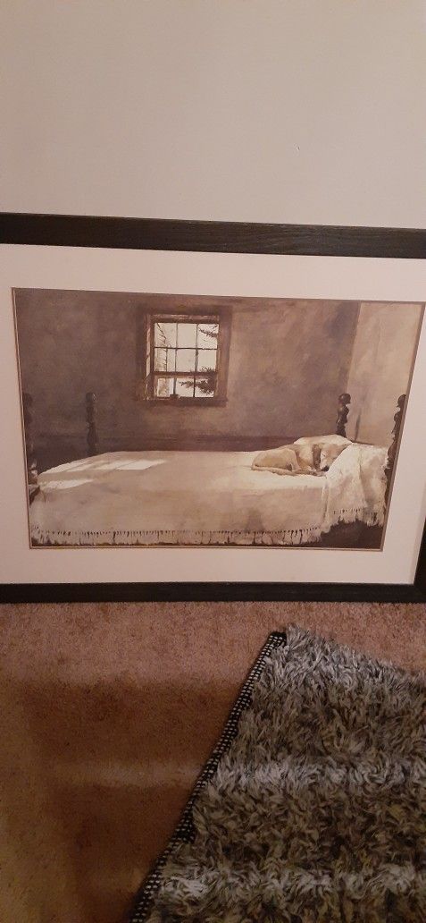 Picture Dog Sleeping