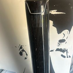 Standing Fan 