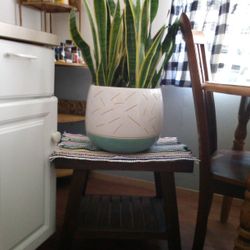 Snake Plant Including Large Ceramic Pot