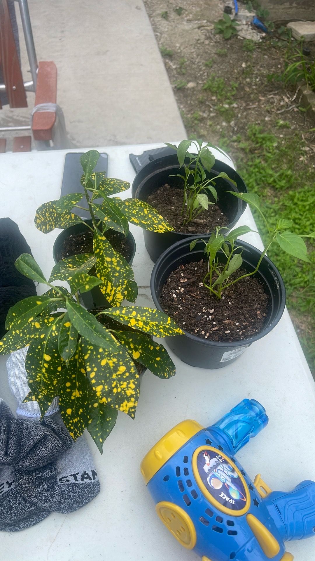 Small plants