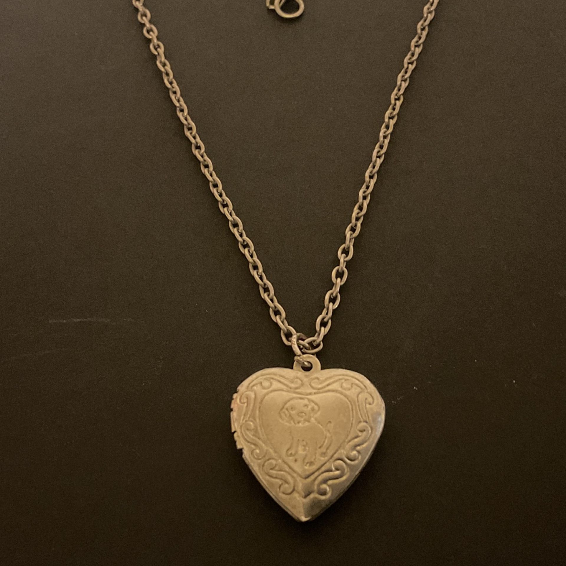 16” SilverTone Necklace & Heart Locket With Puppy