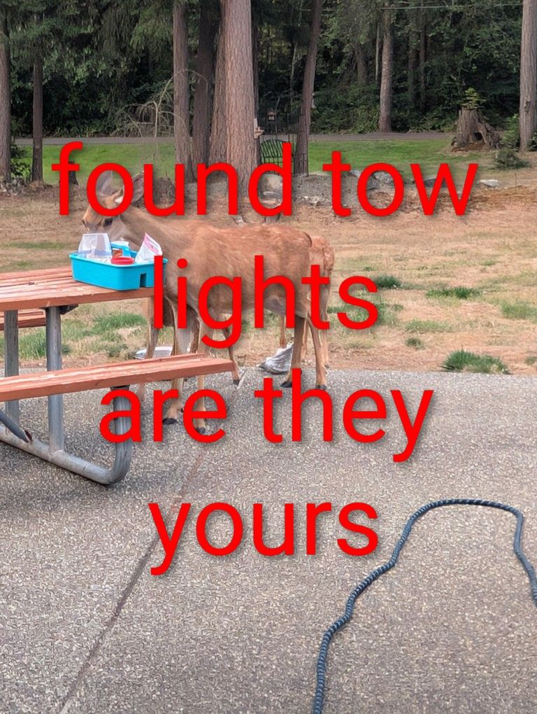  Auto Towlighs Found, Magnetic 