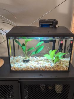 Aquarium