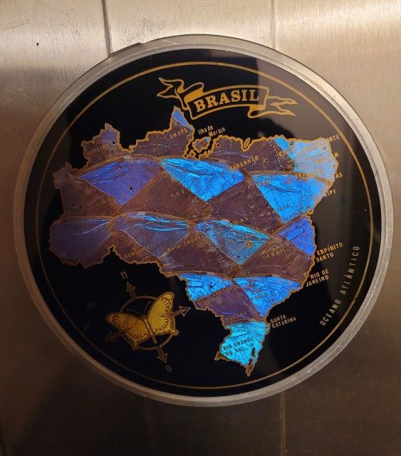Vintage wall hanging art piece depicting a map of Brazil made from iridescent blue Morpho butterfly wings. 7.5" Round