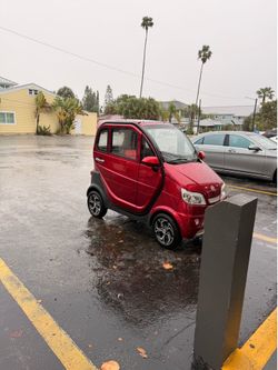 Boomer Bug