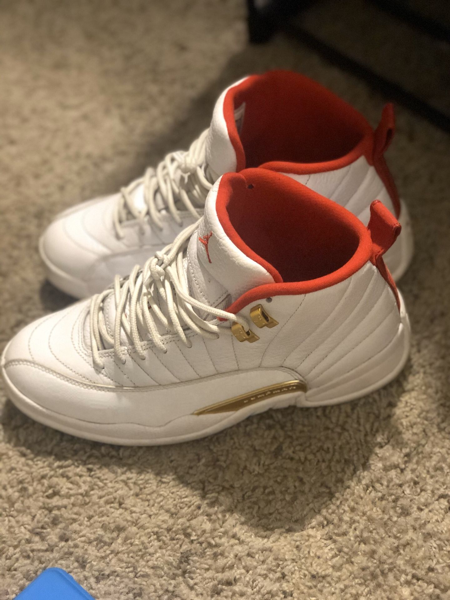 Fiba Jordan 12s