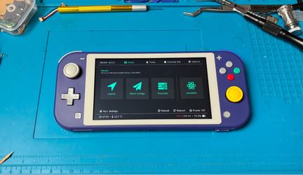 Upgraded Switch Lite with new shell