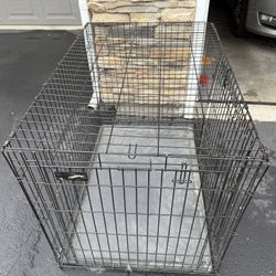 Pet Bundle: Dog Kennel, Bed, Food & Water Bowls, Leash, Extras