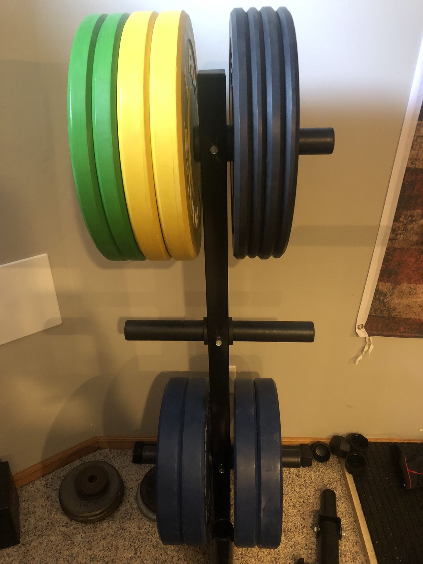 Full Rogue Fitness Home Gym - Squat Stands, Plates, Specialty Bars, Rower, Collars And Accessories 