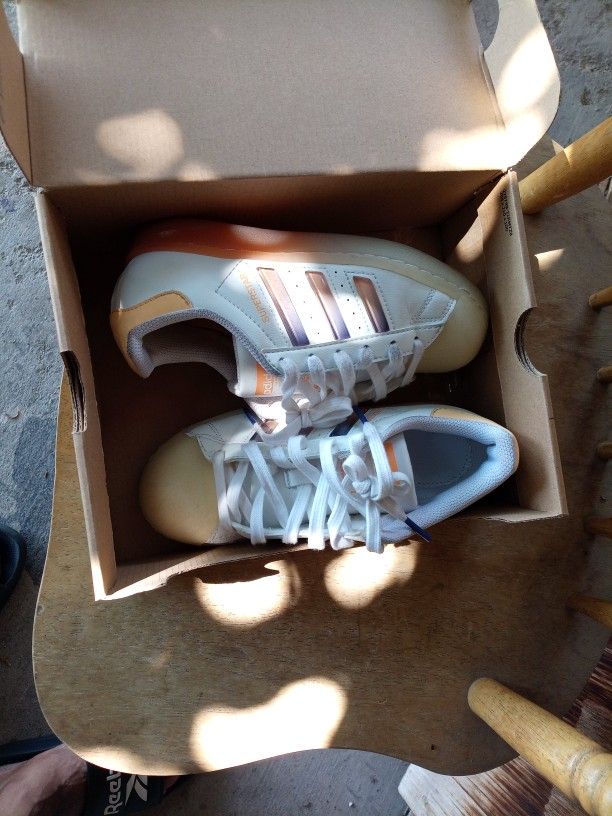 Super Stars Adidas