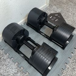 Adjustable Dumbbells 