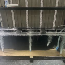 Tank 125 Gallon Acrylic 