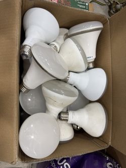 Flood Light Bulbs x19 Feit And x3 The Cree