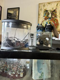 Mini Aquariums Perfect For Betta/ shrimp/ guppies