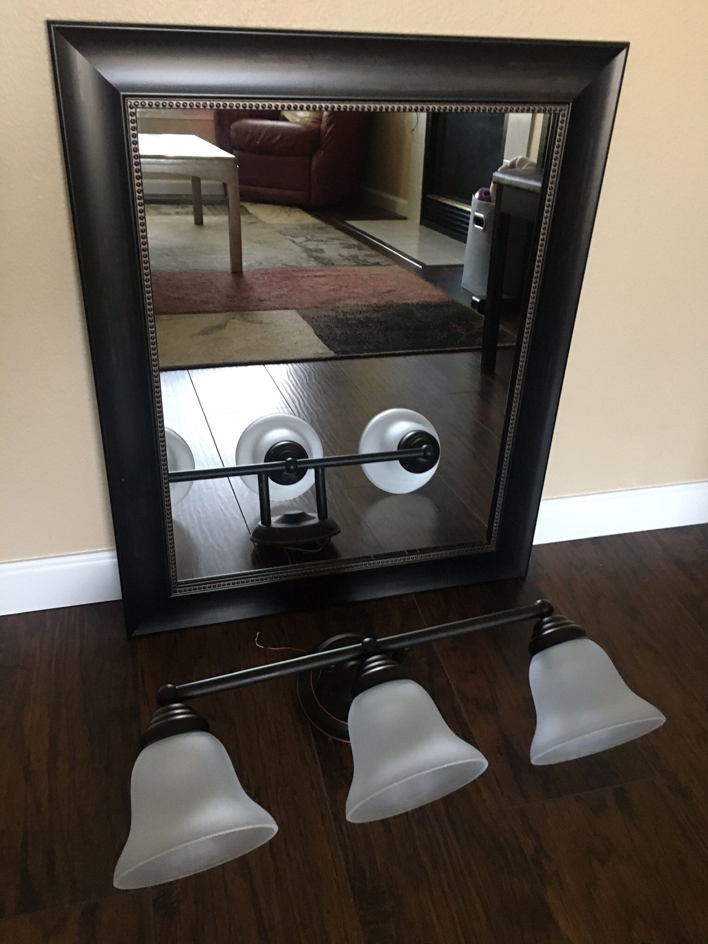 Mirror and vanity light fixture