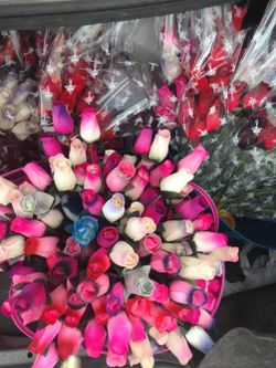 WOODEN ROSES-Birch Wood