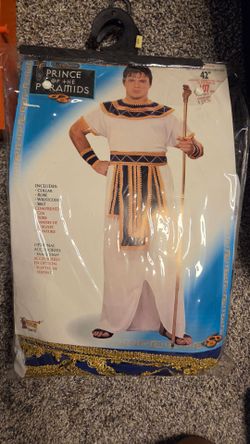 Halloween costume