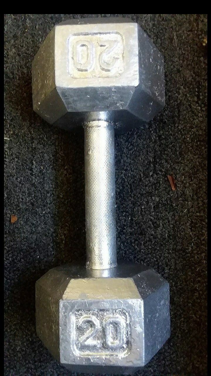 20 lbs. Dumbbell (cast iron)