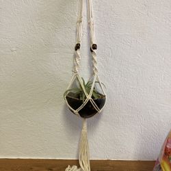 New Macrame Air Plant Holder And Air plant 
