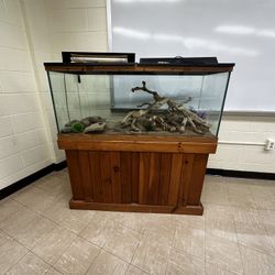 Large Glass (Terrarium) Tank With Cabinet Storage