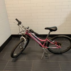 Schwinn Girls' Ranger 24" Mountain Bike - Pink