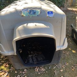 DOG HOUSE 